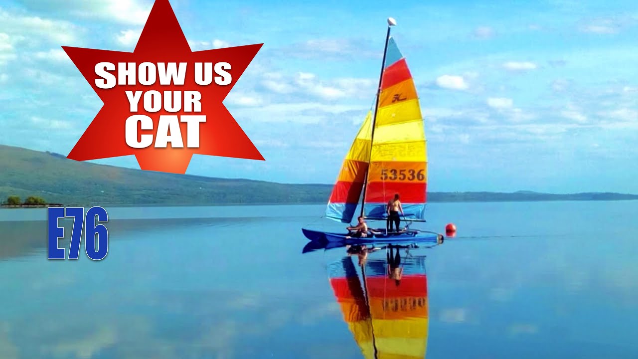 Show us your cat! Episode 76 Ireland, Ecuador and England