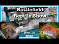 BATTLEFIELD REPTILE EXPO (Nov 2020) Gettysburg PA | Lots of Vendors!!!! Reptile Show