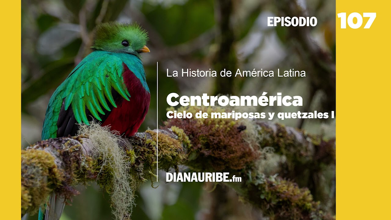 Centroamérica: cielo de mariposas y quetzales I