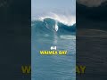 Top 5 best waves in Hawaii with Jamie O'Brien!