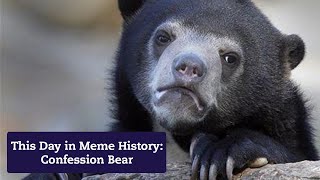 The  History of Confession Bear