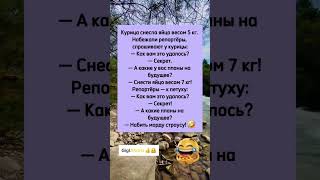 Планы петуха! #шуточное #мем ##смешно #юморжизни