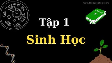 Carbon - Sinh Học - tập 1| Tri thức nhân loại