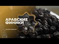 Финики | Арабские финики | Финик | Dates | SULTAN