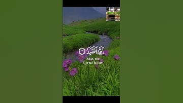 سورة الإخلاص #يوم_الجمعة #صلاة_الجمعة #تلاوات #قران_كريم #تلاوة_هادئة #قرآن #تلاوةخاشعة