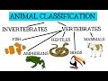 Animal classification for children classifying vertebrates and invertebrates for kids  freeschool