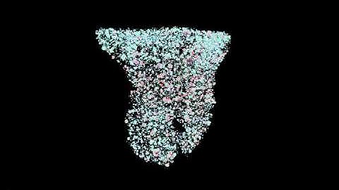 CAA 2015 video 3_pot rim sherd_ A-StJohn_April2015