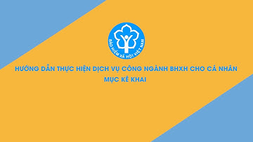 Hướng dẫn kê khai hồ sơ trên Cổng Dịch vụ công BHXH Việt Nam - Dành cho cá nhân