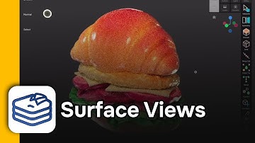 Viewport Shading with Surface Views in Uniform