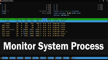 How to Monitor System Processes Using Htop