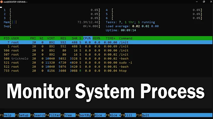 How to Monitor System Processes Using Htop