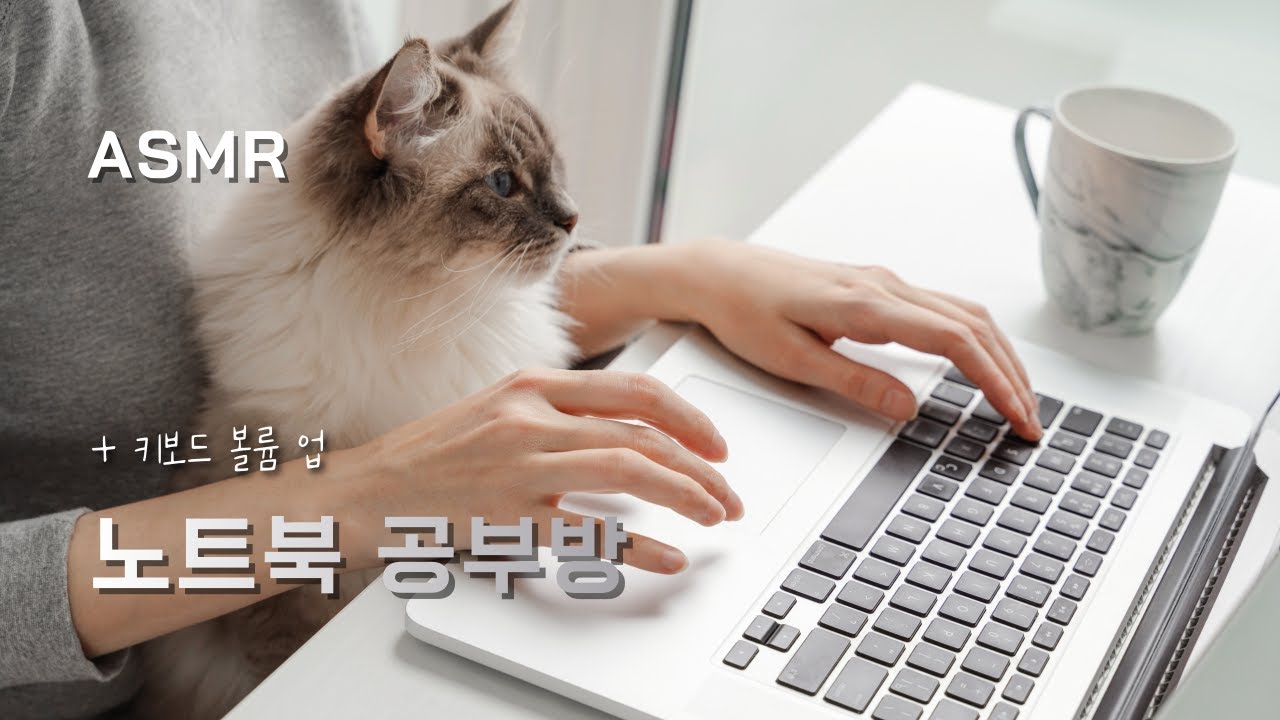 키보드 소리 좋아하는 사람들을 위한 공부방 ⌨ 공부 ASMR