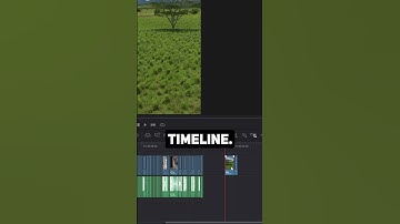 Steal ANY Color Grade in SECONDS with Davinci Resolve 😳