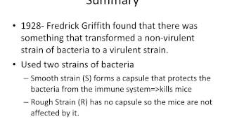 Griffiths Experiment