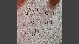 What Moves (Locum Edit)