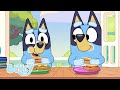 Stagione 1 2 e 3 episodi completi   1 hora  bluey italiano canale ufficiale