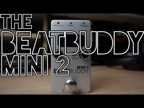 Singular Sound | BeatBuddy Mini 2 | Camilo Velandia