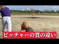 ピッチャーの質の違い【ピッチャー】#shorts