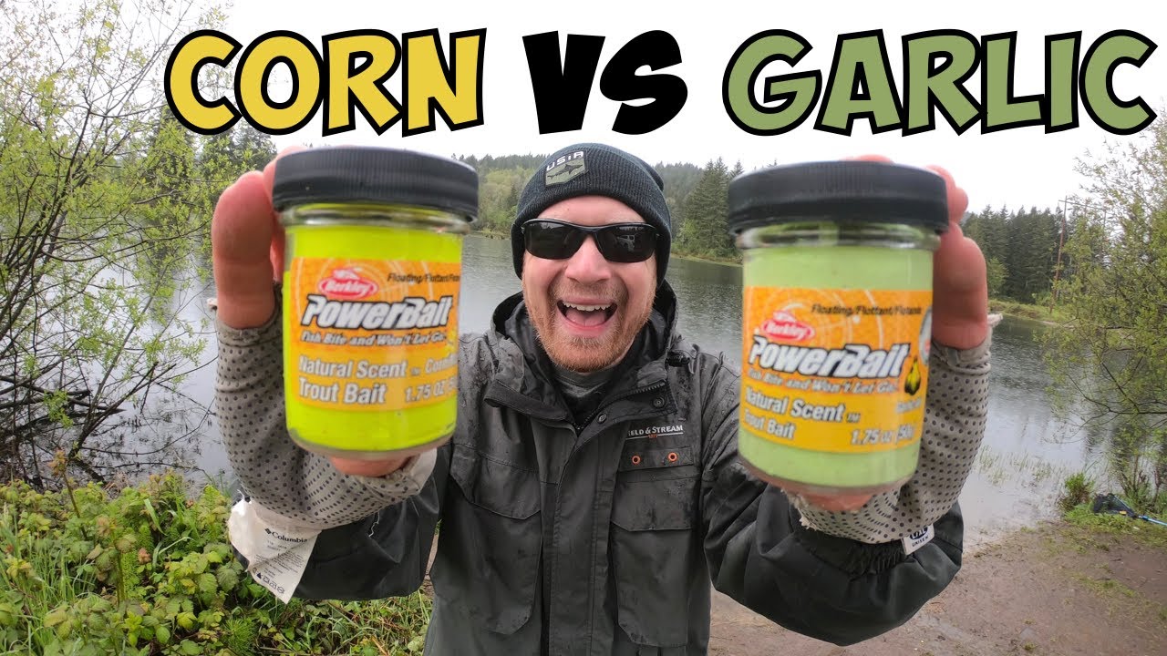 Garlic VS Corn Spring Trout Fishing Challenge 