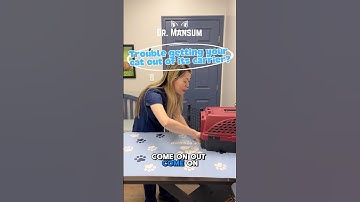 Trouble getting your cat out of its carrier?