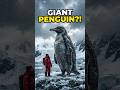 The Pengui Bigger Than a Human . #lostworldcreatures #facts #prehistoricanimals #wildlife