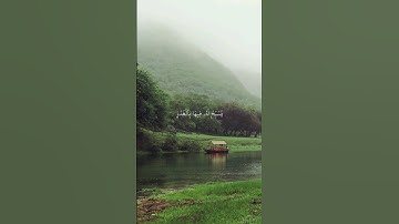 اكتب شيء تؤجر عليه#quran#اكسبلور#المصحف #قرآن #لايك #قران_كريم #راحة_نفسية #سورة_النور#محمد_اللحيدان