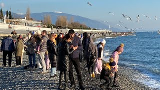 01.01.2023. Погода в Сочи в январе.Смотри на Чёрное море каждый день.