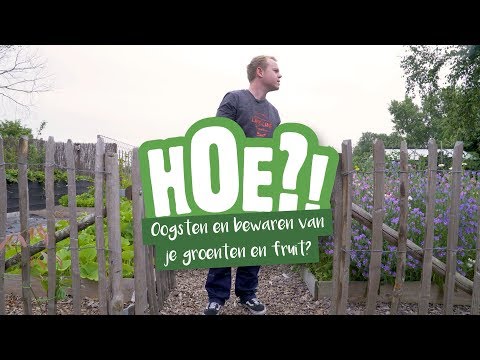 Video: Groenten En Fruit Bewaren