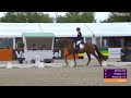 Royalty in the arena! 👑🇳🇱 | Grand Prix A - Grade III - FEI Para Dressage European Championship