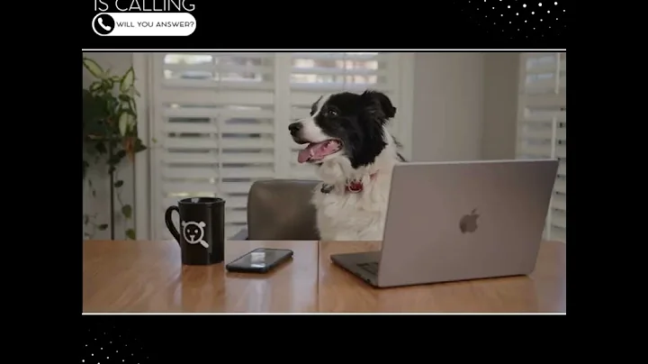 Property Management is RUFF: Dealing with Our Four...
