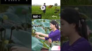 Lotus pods, Lotus flowers 😍🌷||#harvestandcook #lytuthat #lotus #flowers #shots