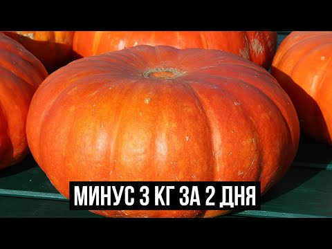 Тыквенная Диета На 2 Дня