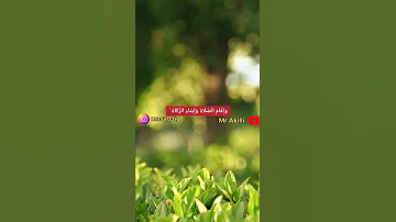 ر ج ال ل ا ت ل ه يه م ت ج ار ة و ل ا ب ي ع ع ن ذ ك ر الل ه القارئ حمزة بوديب 