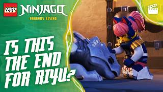 Celebrity Riyu’s Heartbeat is Weak! 💔🐉 | Season 4 | Episode Clip | LEGO NINJAGO: Dragons Rising Profile