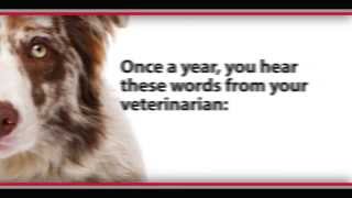 The Test Your Pet Should Take