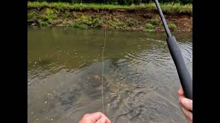 West Fork Kickapoo River Wisconsin June 5, 2022