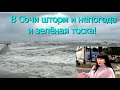 В Сочи шторм и непогода и зелёная тоска!!