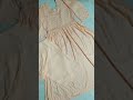 Frock suit design #designer ##frockdesign #frockstitching #newvideo #shortvideo #trending #easy