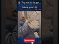 Try Not to Laugh Challenge! If You Don't Laugh