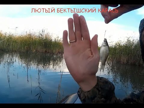 Как увеличить улов рыбы? Как увеличить улов рыбы?