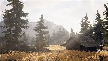 Unreal Engine 5 Cabin in the Woods