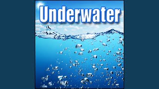 Small Underwater Explosion