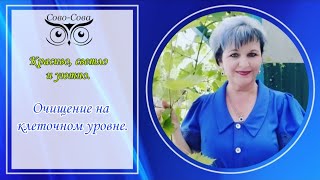 Очищение организма на клеточном уровне. #СовоСова #здоровье #долголетие #ннпцто #очищение #молодость