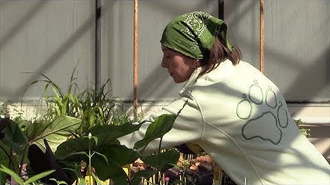 University of Delaware Botanic Gardens Annual Plant Sale