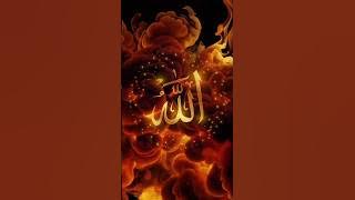 JIKA ENGKAU KEHILANGAN HARTA #kutipanislami #katapengingat#shortterbaru