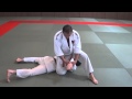Jujitsu 20 techniques  explicatif  b1 b2