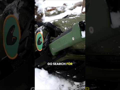 Bed Made of Logs #bushcraft #shelterbuilding #wilderness
