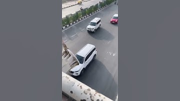 SWIFT WITH FORTUNER SCORPIO CARS  #Shorts #CarStatus#Shorts #Modified #swift #scorpio #fortunercars