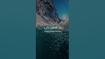 تلاوة خاشعة لآية الكرسي | سورة البقرة #قرآن #quran