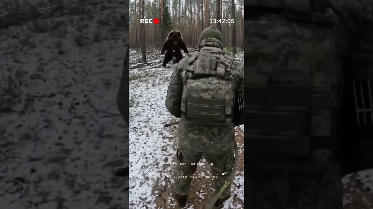 GRIZZLY BEAR ATTACKS RUSSIAN SOLDIER HUSKY SAVES HIS LIFE Sora2 Americanbear Viralreel Blackbear